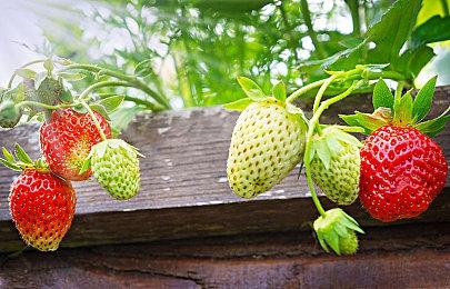 《生化危机4：重制版》体验版已有VR模式MOD发布